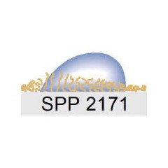 SPP 2171