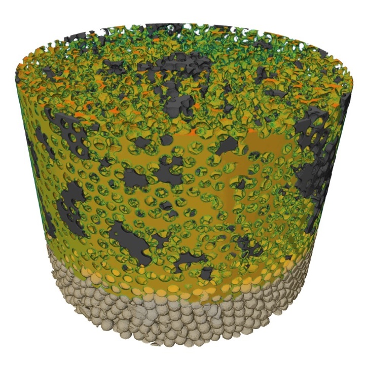 Phase distribution of the investigated complex multi-phase flow process in the pore space in a sintered glass bead packing.