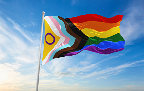 Voices of Pride in STEM 